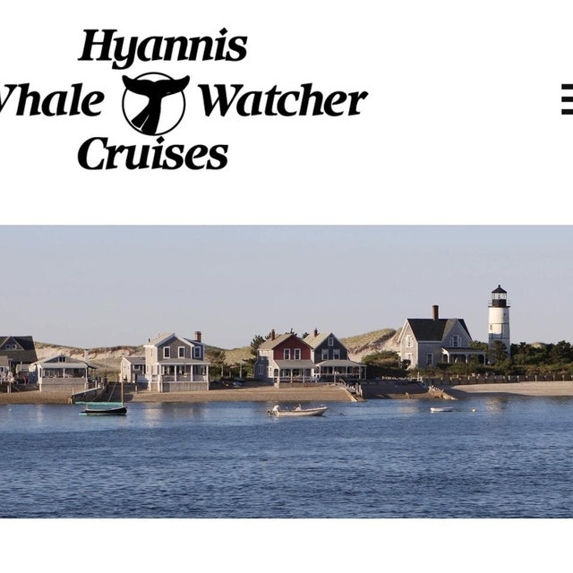 Whale Watch gift certificate