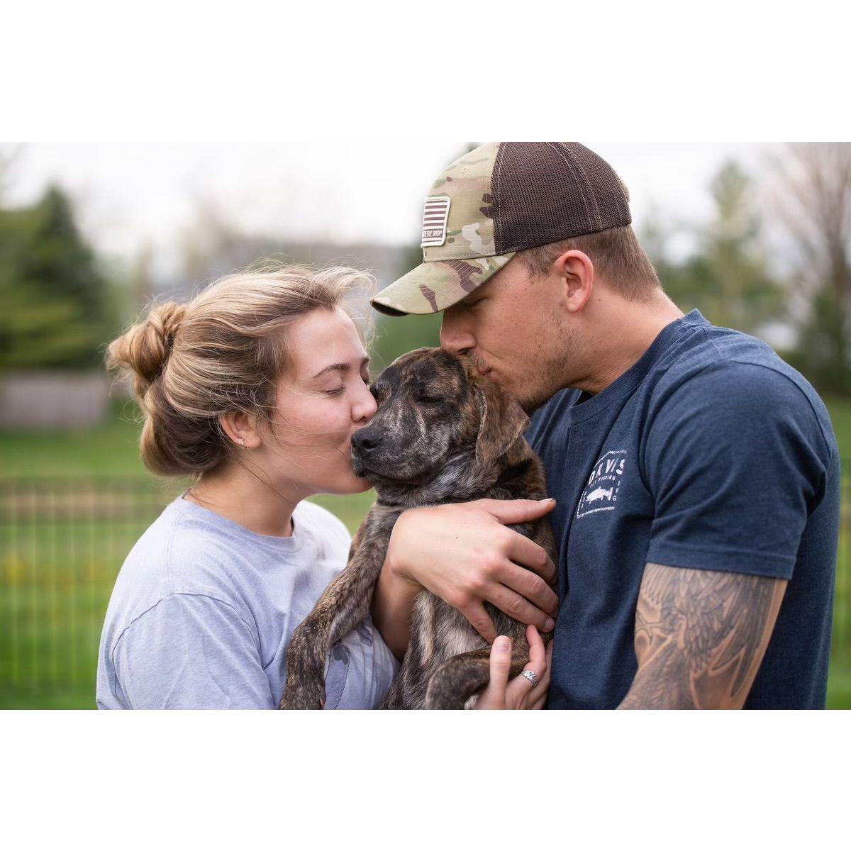 Bringing Timber home to a family of dogs and love