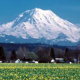 Mount Rainier National Park