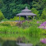 Cantigny Park