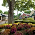 Olde Mistick Village