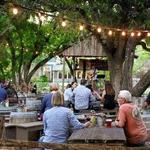 The Grapevine