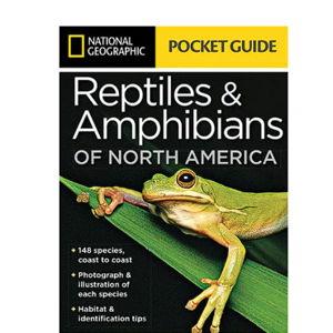Reptiles and Amphibians of North America Field Guide