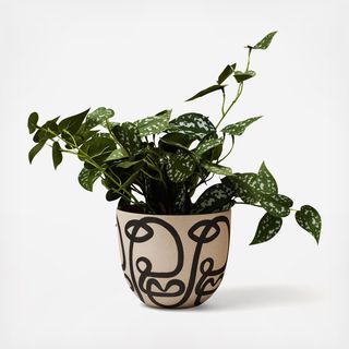 Medium Cara Planter
