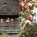 Aamodt's Apple Farm