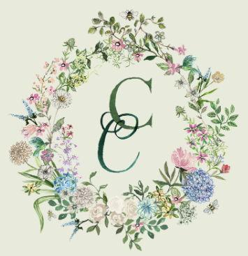 The Wedding Website of Chloe Talbott and Chris Meluch