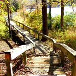Chickasaw State Park