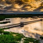 Cattail Marsh Scenic Wetlands & Boardwalk