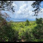 Cedar Ridge Preserve