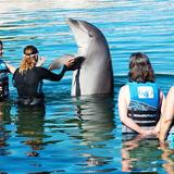 Sea Life Park Hawaii
