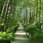 Sieur de Monts to Jessup Path - 1.5 round trip