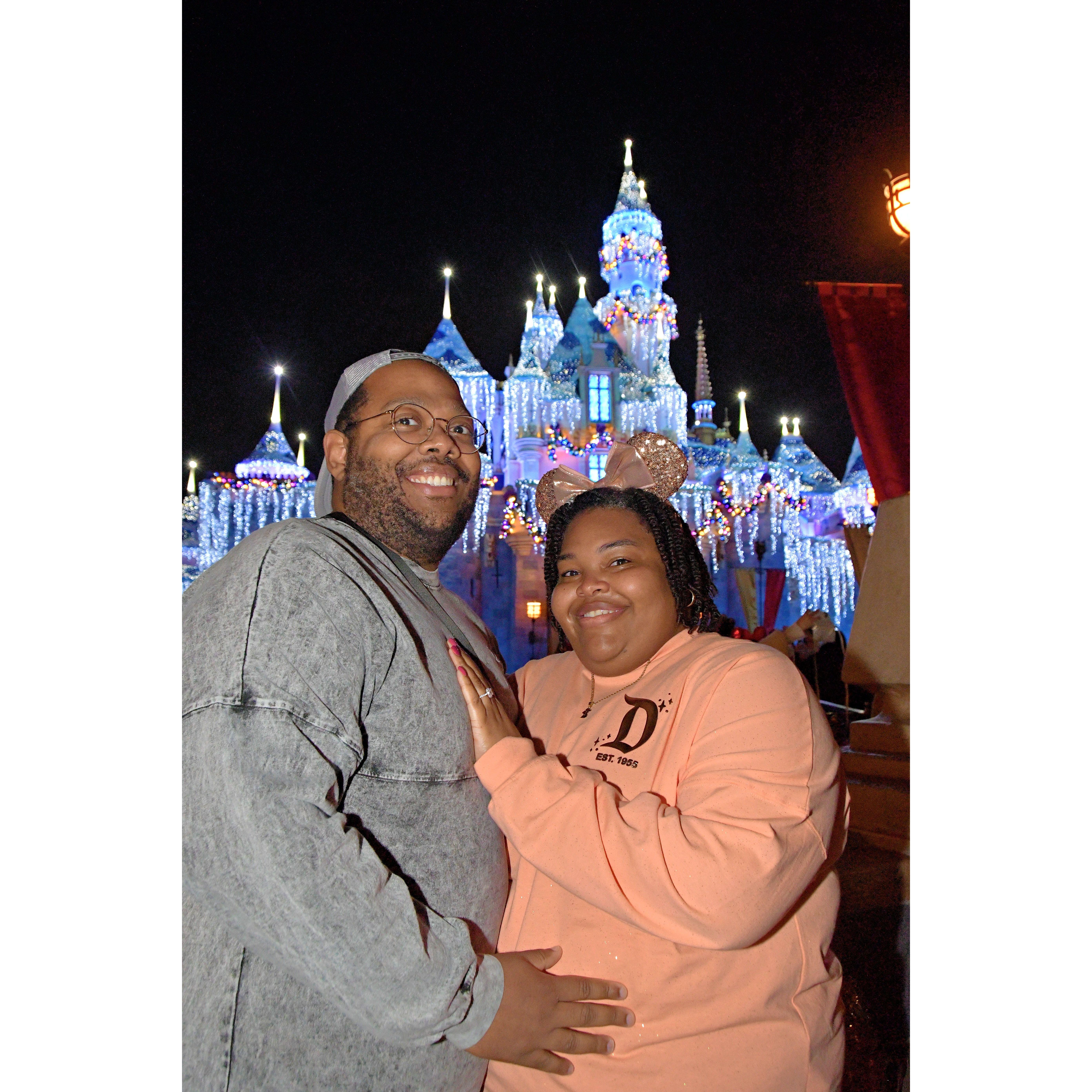 The proposal at Disneyland - 2024