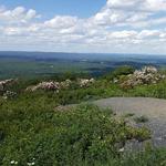 Big Pocono State Park