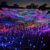 Sensorio Field of Lights