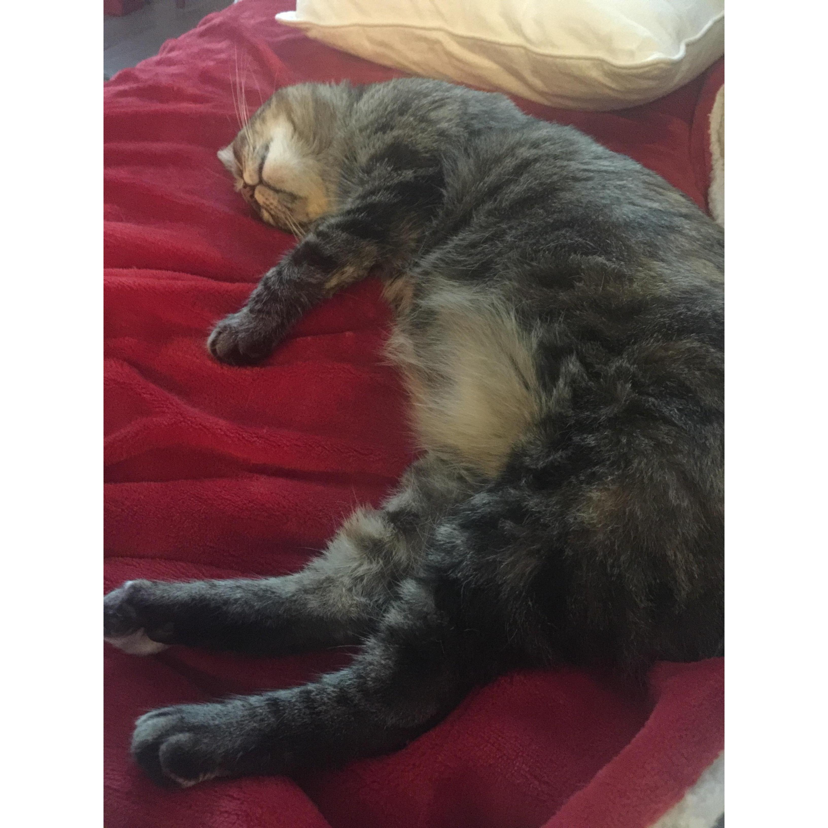 After a long day's work.