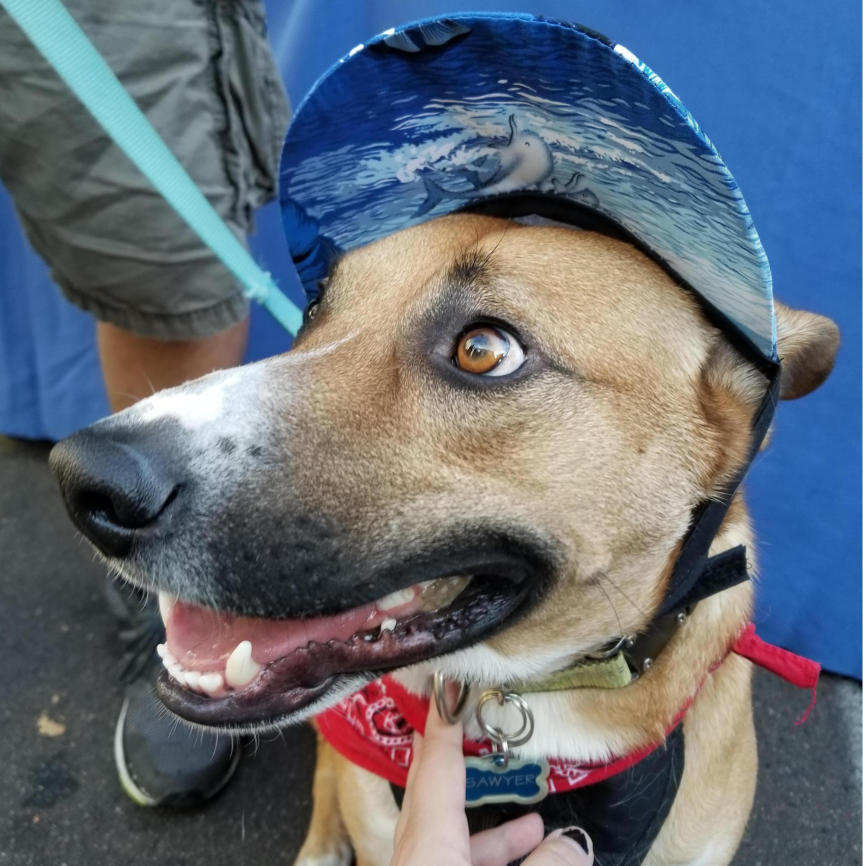 Sawyer, the best boy.