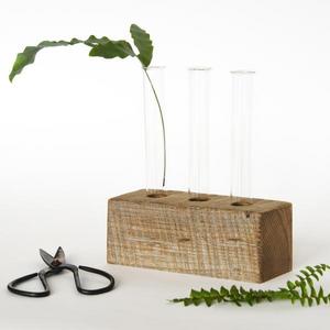 Propagation Vase : Trio