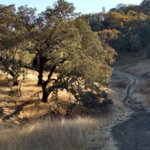 Sonoma Valley Regional Park