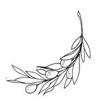 Pasolivo Olive Oil