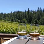 Element 79 Vineyards and Winery