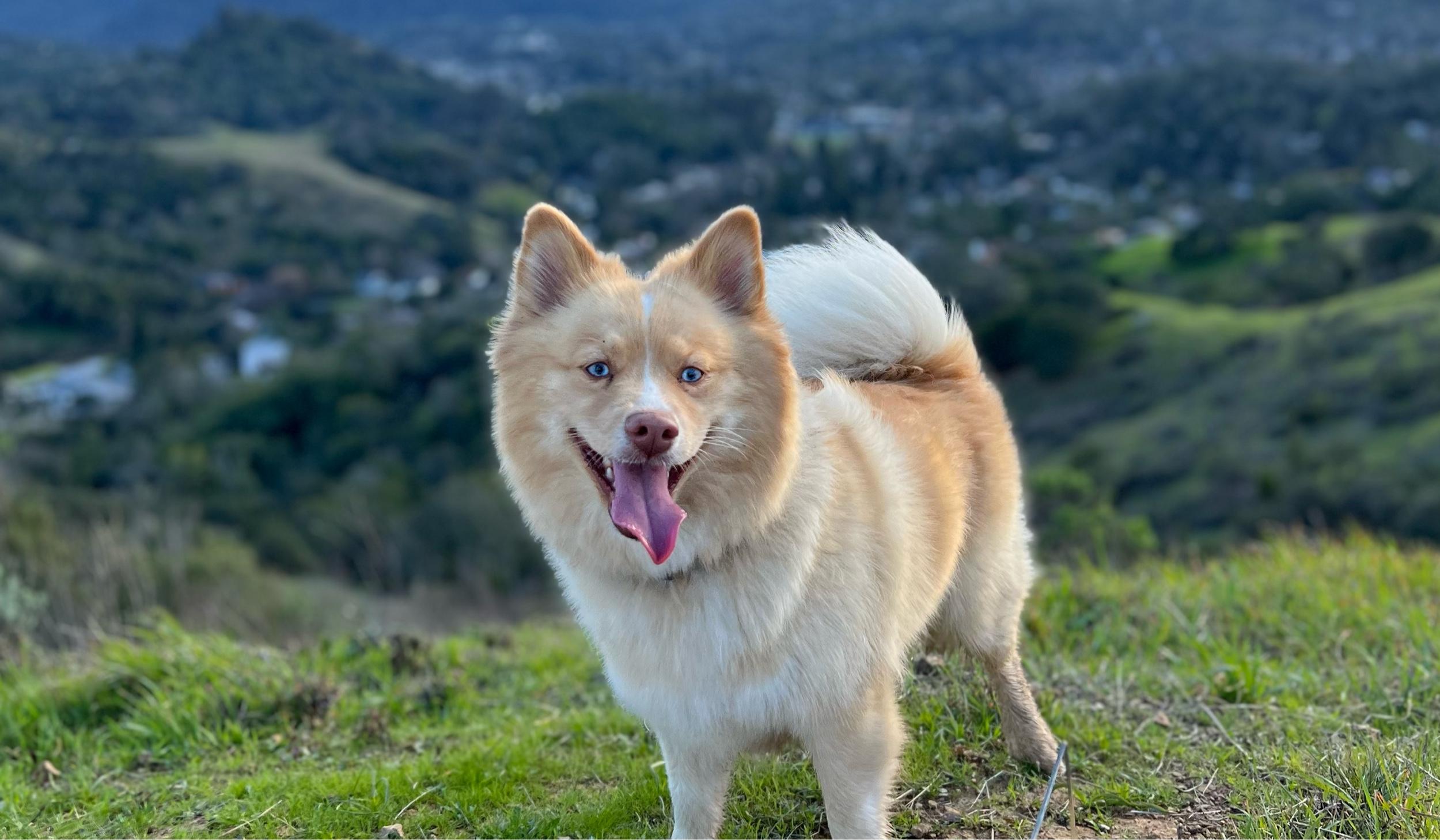 The Wedding Website of Monica Schmiede and Ewan Ritchie