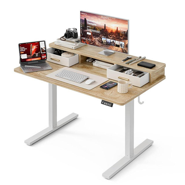 Grandder Electric Standing Desk with Two Drawers, Sit to Stand Up Height Adjustable Desk with Storage Shelf for Home Office, 48 * 24 Inch, Study, Ergonomic Adjustable Computer Desk, Oak