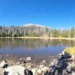 Lily Pad Lake Trail