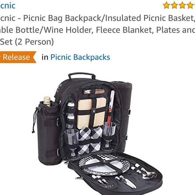 Amazon.com : Plush Picnic - Picnic Bag Backpack/Insulated ...