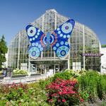 Krohn Conservatory