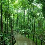Jardín Botánico de Medellín