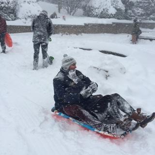 First snow and sled day - Snowpocalypse in Washington, D.C., March 2016.