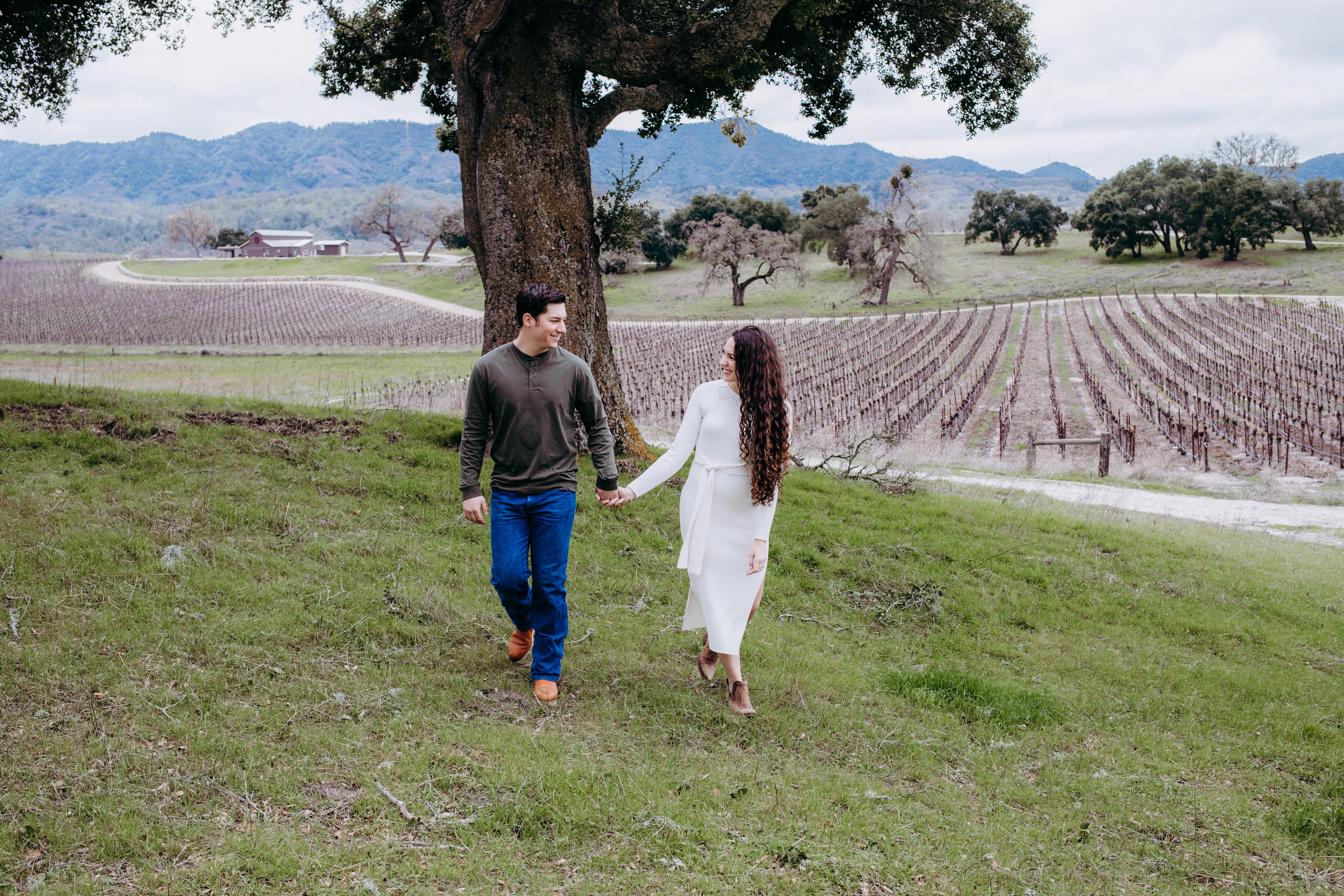 20d94fd7-ac1e-4ea1-a06f-72fa3ca5b733