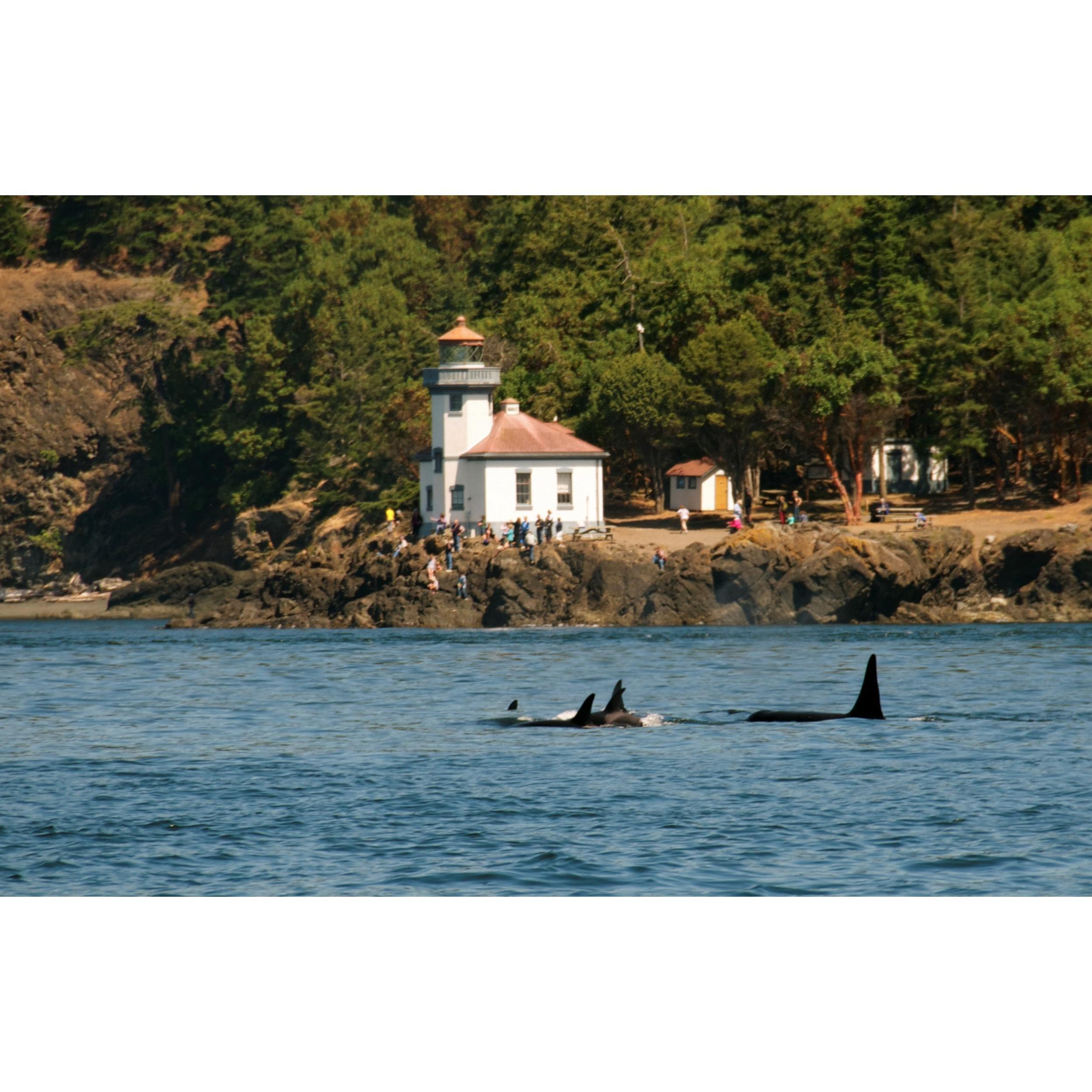Lime Kiln Lighthouse
