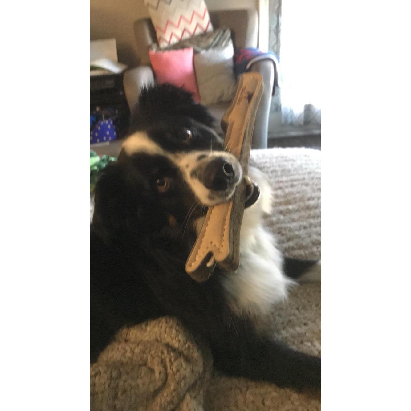 "Back before I destroyed toys with my sister Maya" said Link.