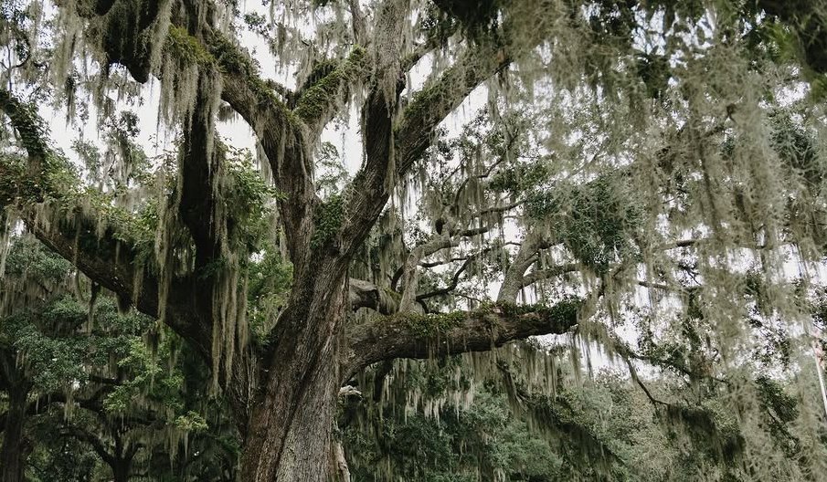 The Wedding Website of Emma Joyce and Wyatt Grant