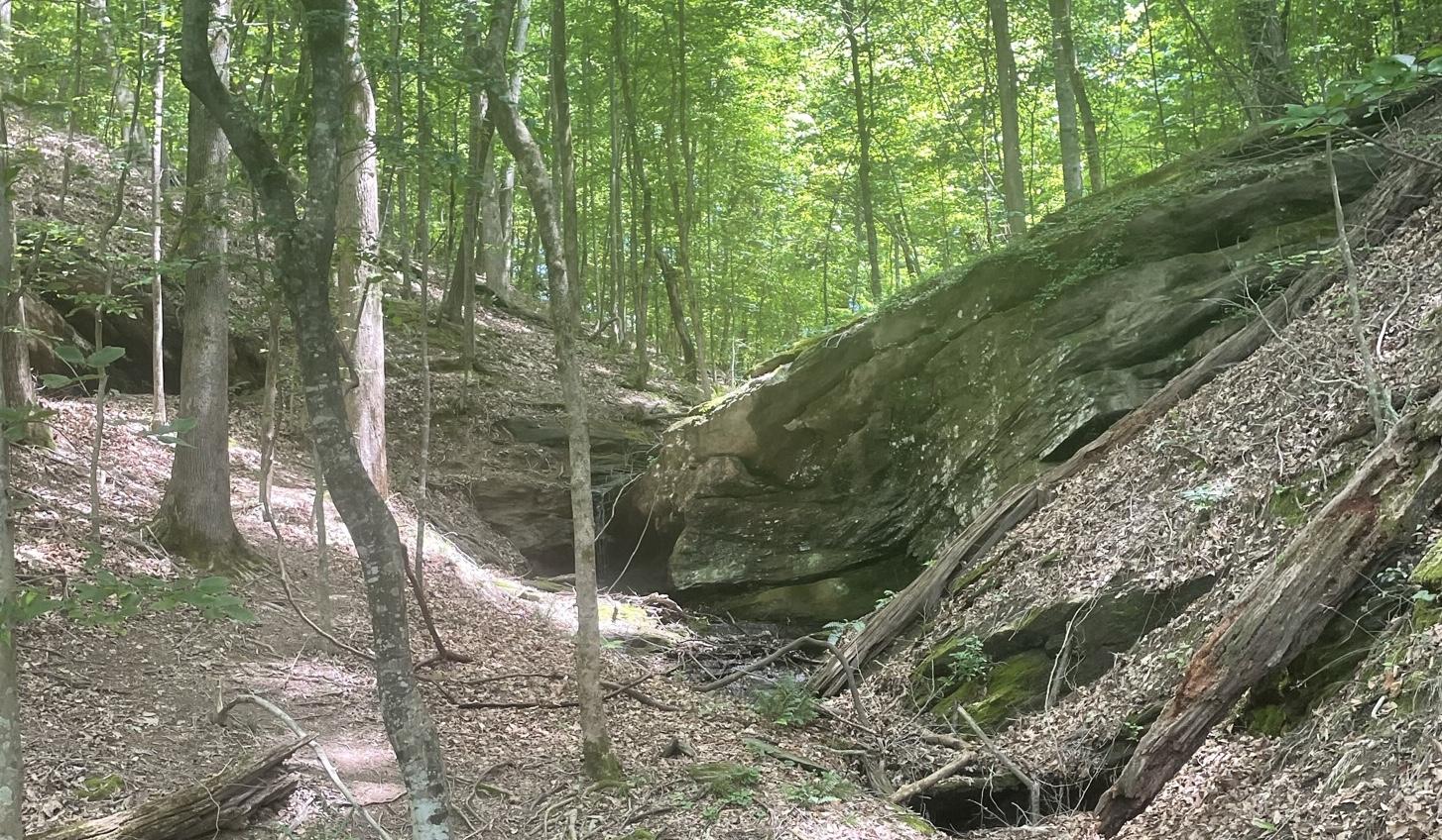 20dc0e5f-e2d9-4f77-84e1-bee340bd9402