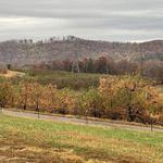 Apple Hill Orchard and Cider Mill