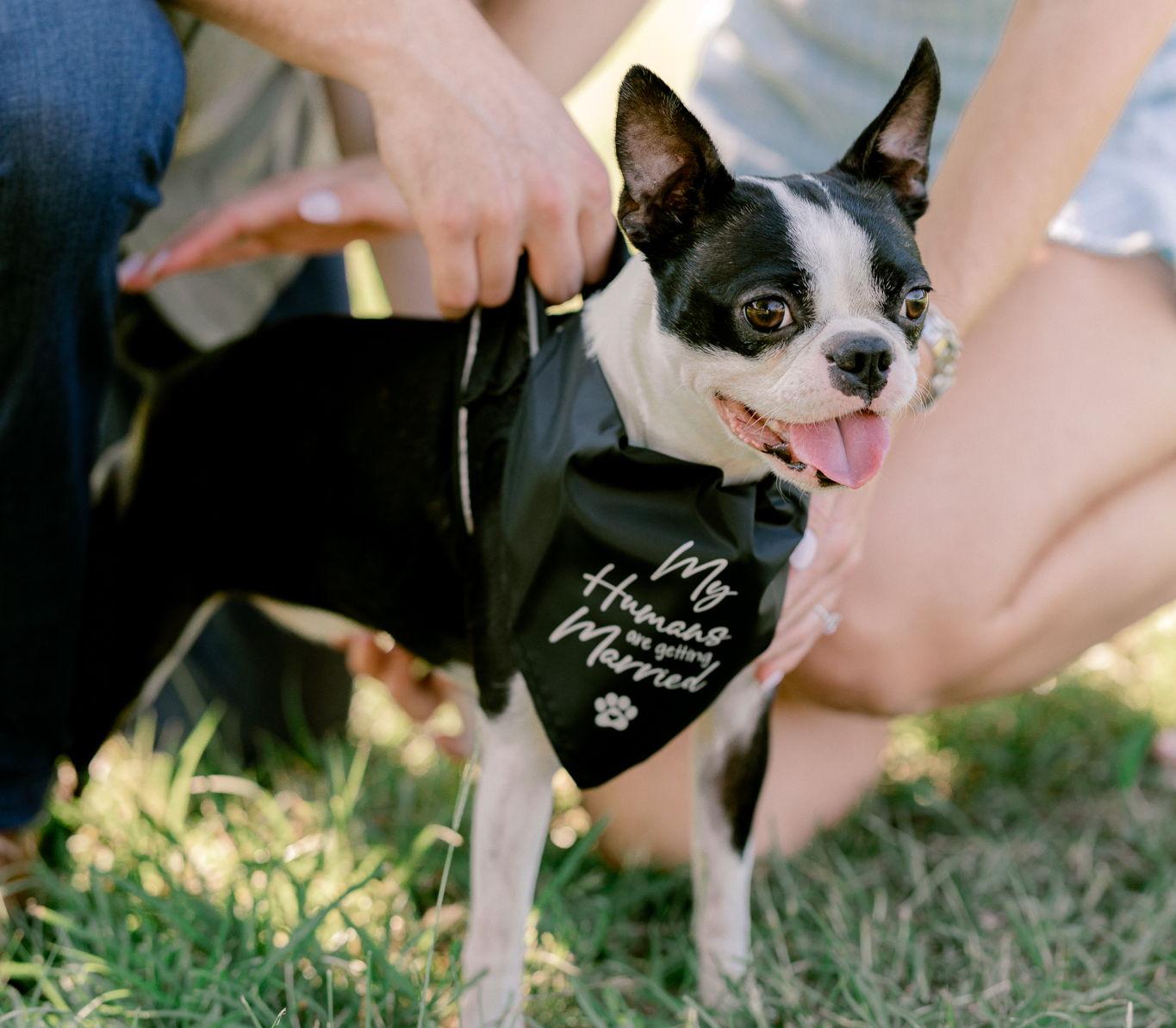 The Wedding Website of Kelley Ebeling and Colin Ross