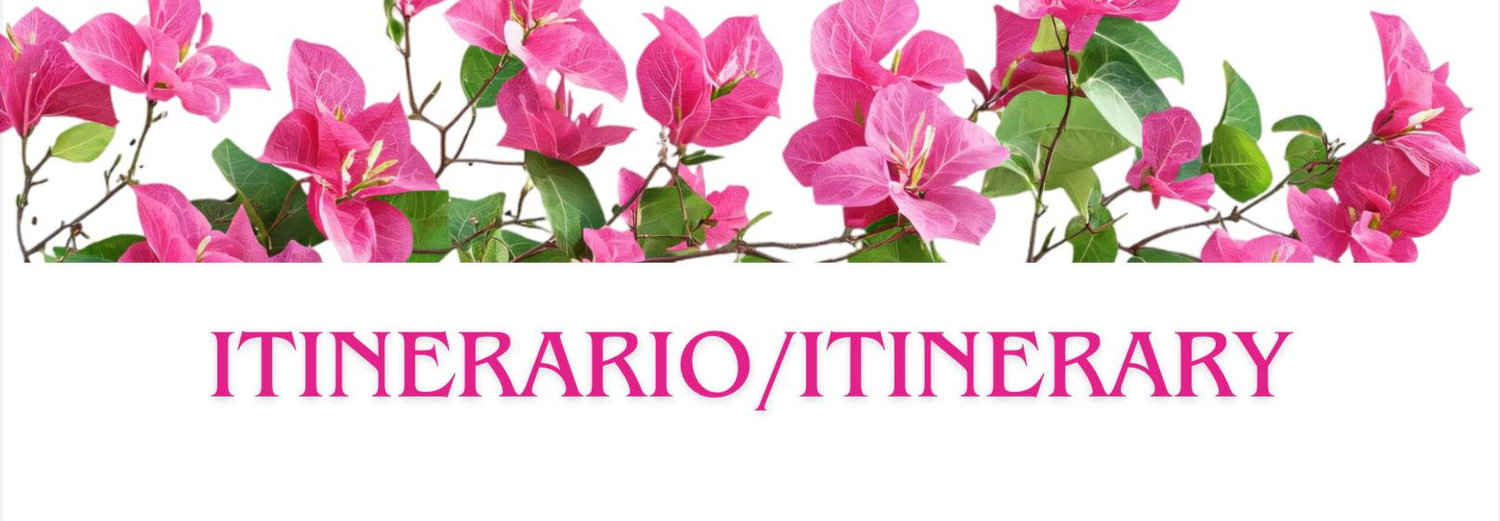 The Wedding Website of Alexis Robles and Maria del Pilar Martinez Romero