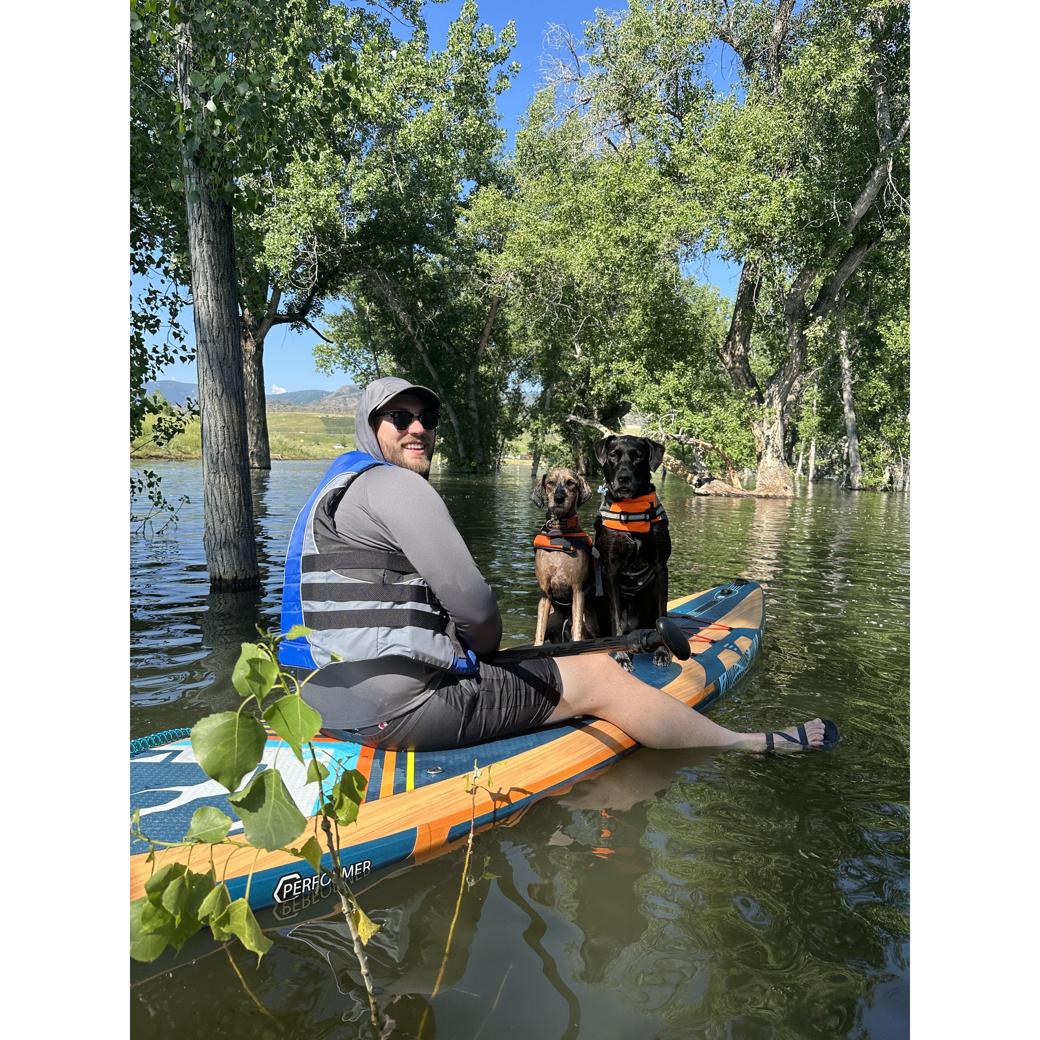 Paddle boarding with the pups at Chatfield State Park.