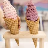 Welly's Real Fruit Ice Cream