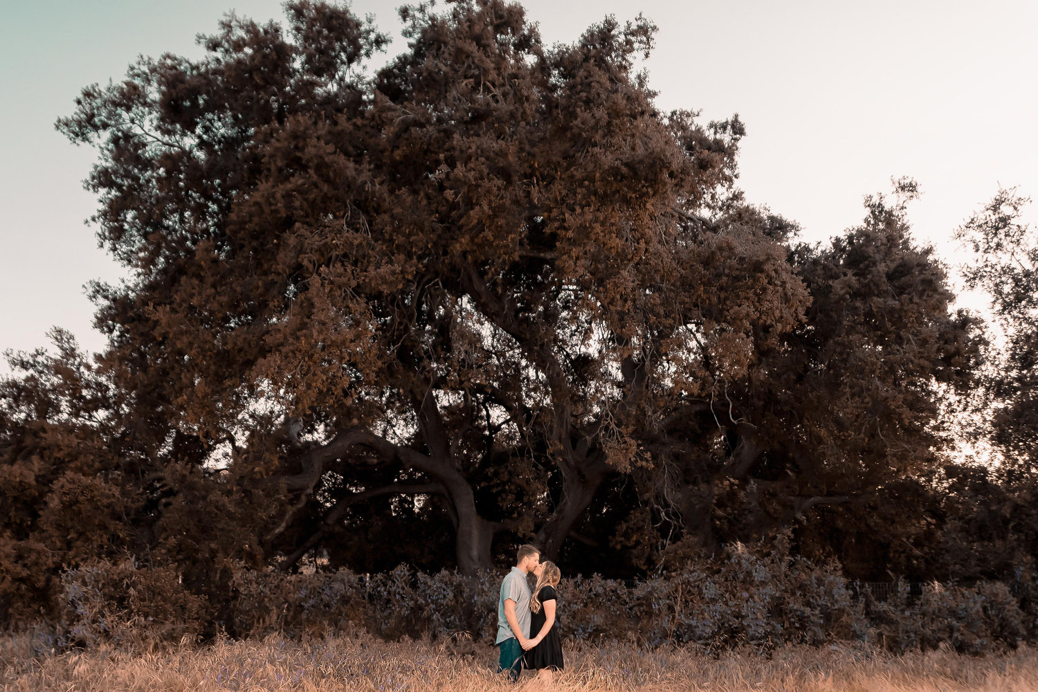 The Wedding Website of Sarah Bloom and CJ Hirt
