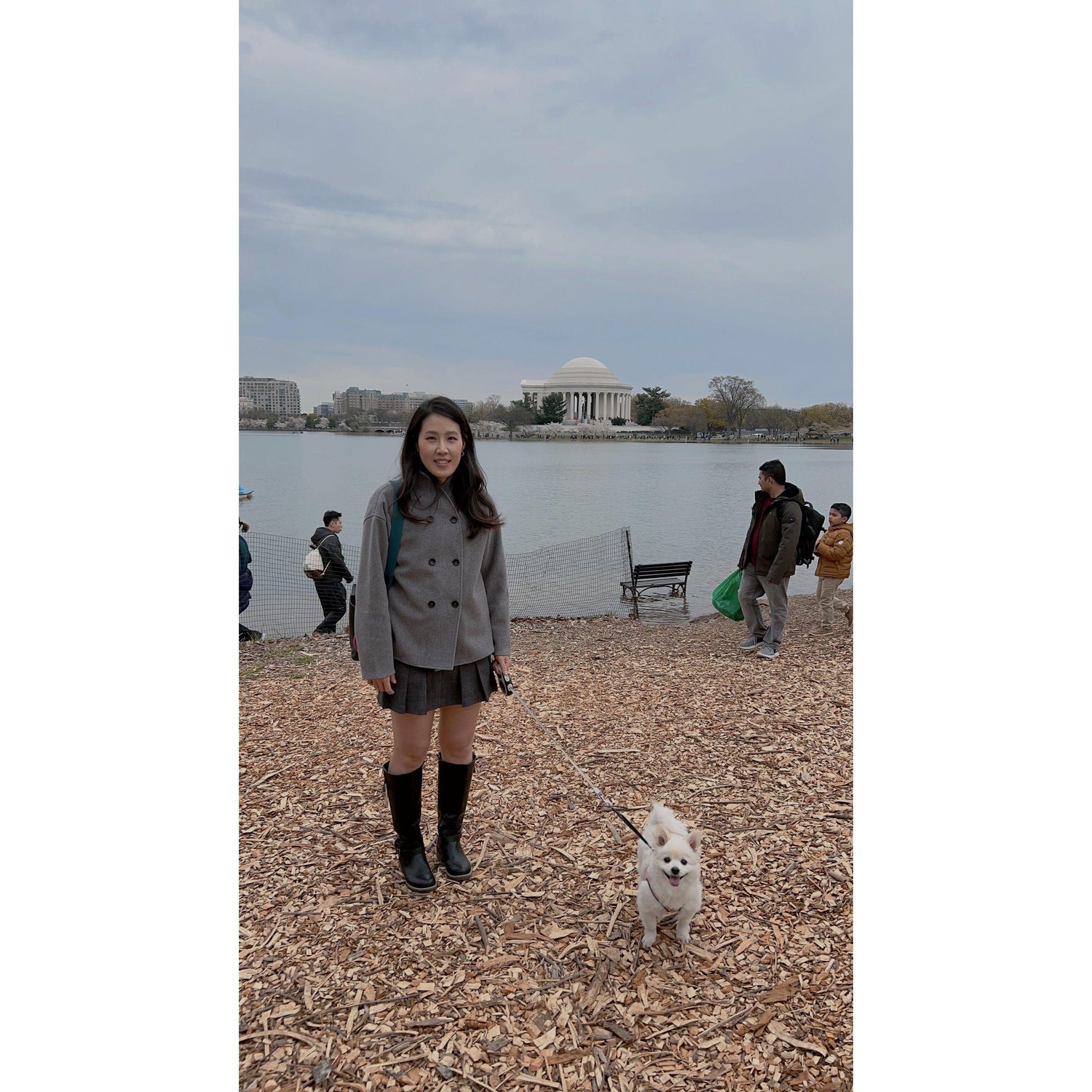 "Cherry Blossom" in DC