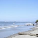 Sullivan's Island Beach