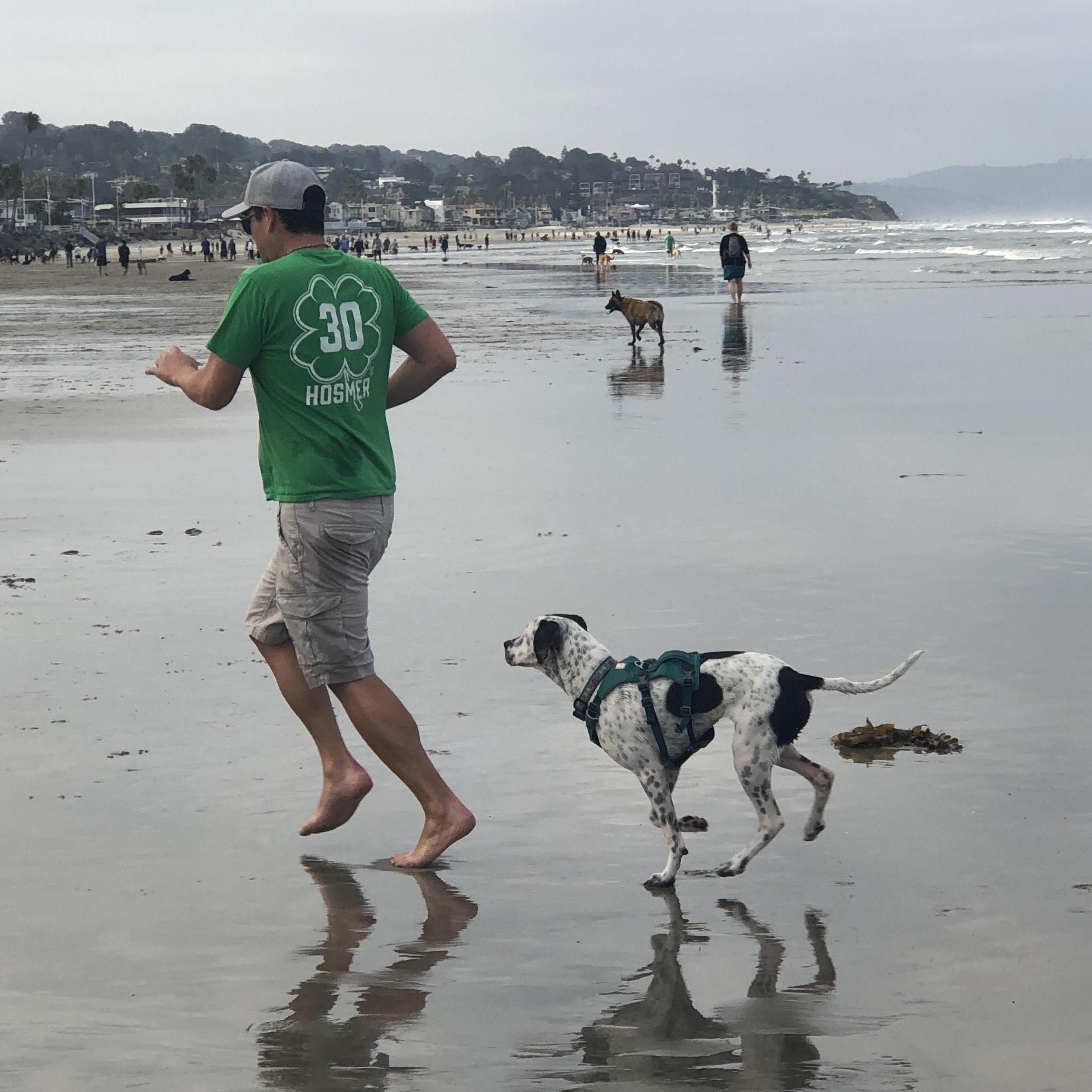 Moo and Chuck at dog beach in Del Mar.