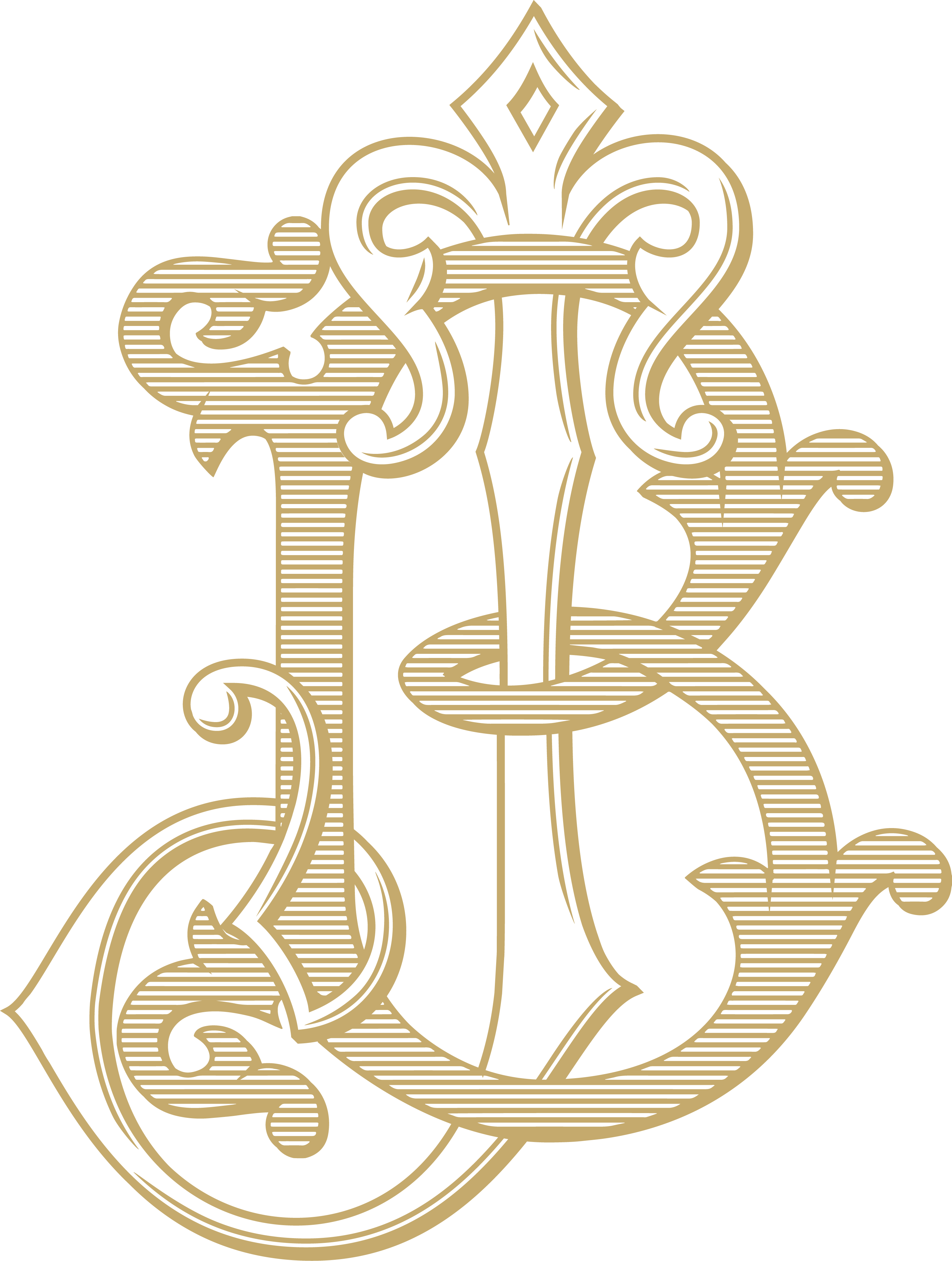The Wedding Website of Barrett Jane Remy and Joshua Jeffrey Ehrlich