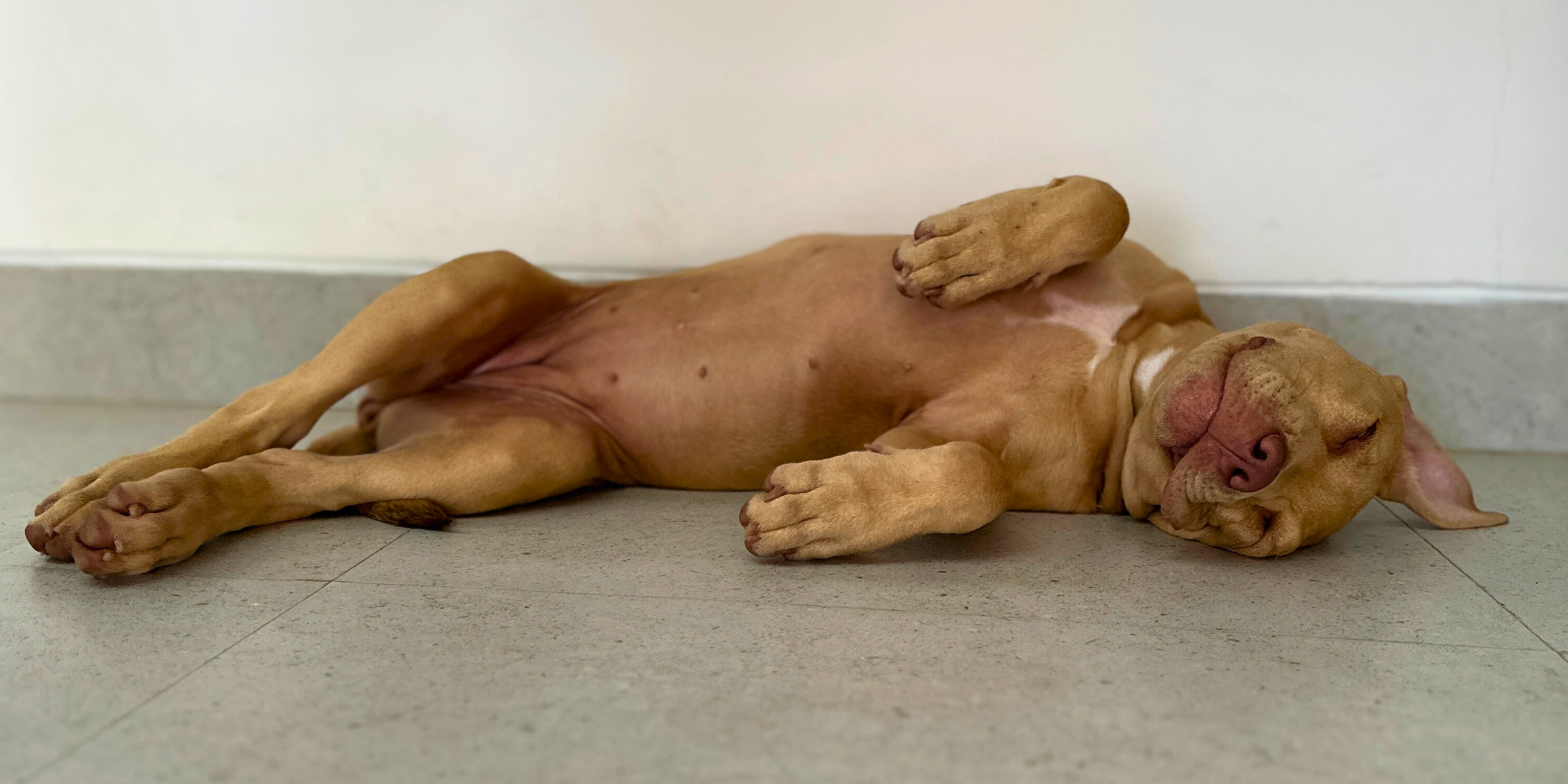 20e8e21f-b0ab-49d8-85f9-936c309cf290