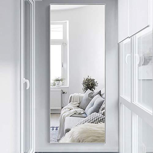 NeuType Full Length Mirror Standing Hanging or Leaning Against Wall, Large Rectangle Bedroom Mirror Floor Mirror Dressing Mirror Wall-Mounted Mirror, Aluminum Alloy Thin Frame, Silver, 65"x22"