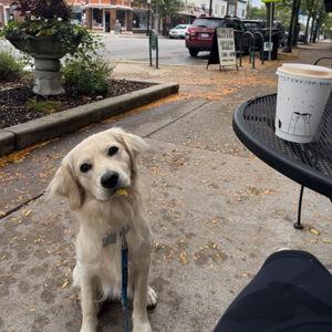 Hank Treat Fund