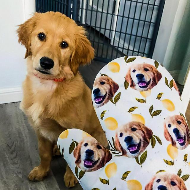 Customized Dog Mitt - Put Your Cute Dog on...